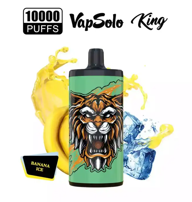 VAPSOLO King 10000 Puffs big puff disposable vape pen juice vapes