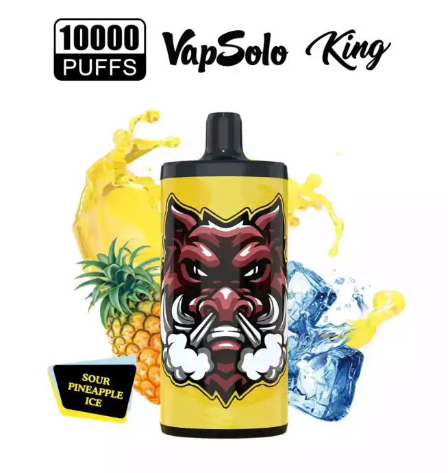 VAPSOLO King 10000 Puffs big puff disposable vape pen juice vapes