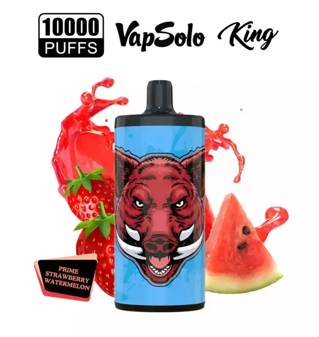 VAPSOLO King 10000 Puffs big puff disposable vape pen juice vapes