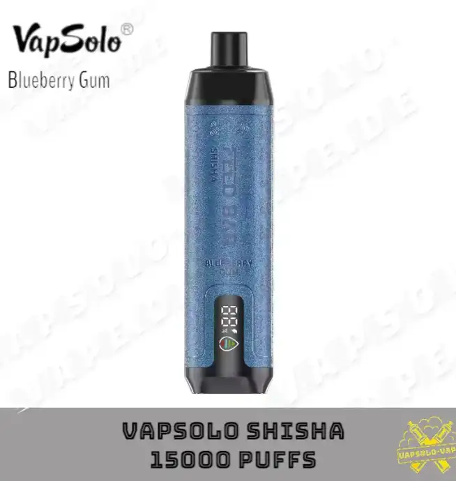 VAPSOLO 15000 Puffs Blueberry Gum Flavor