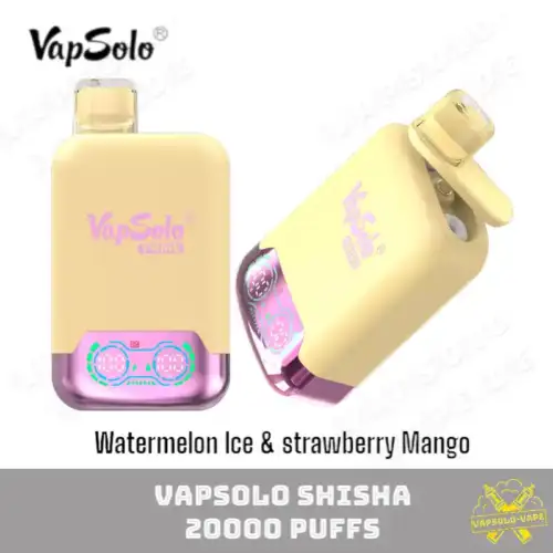 VAPSOLO Twins 20000 Puffs Disposable Juice Vapes Watermelon lce & strawberry Mango