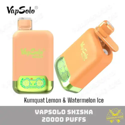 VAPSOLO Twins 20000 Puffs Disposable Vape Liquid Vapes Kumquat Lemon & Watermelon Ice