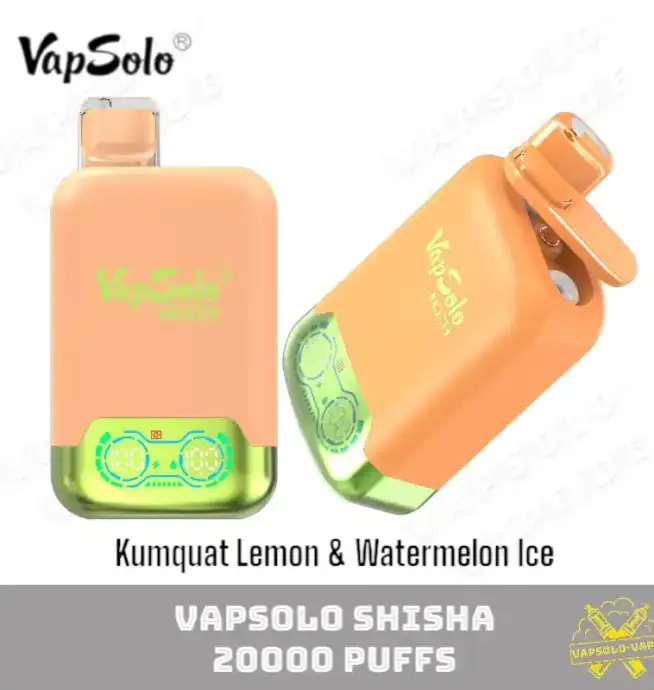 VAPSOLO Twins 20000 Puffs Disposable Vape Liquid Vapes Kumquat Lemon & Watermelon Ice