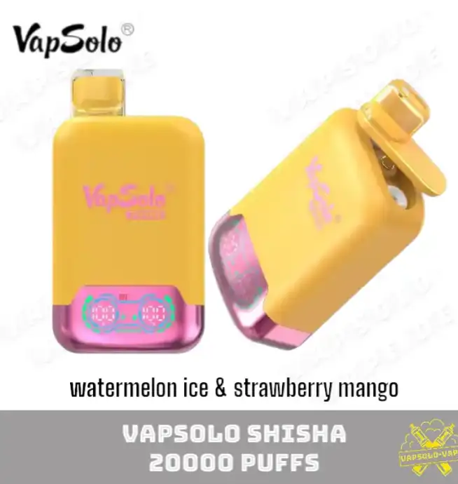 VAPSOLO Twins 20000 Puffs Disposable Vape watermelon ice & strawberry mango
